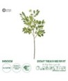 GloboStar® Artificial Garden GREEN EIGHT TREASURE FRUIT BRANCH 21373 Τεχνητό Διακοσμητικό Κλαδί Eight Tresure Πράσινο Y87cm